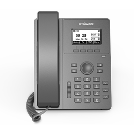  IP телефон FLYINGVOICE P10P 