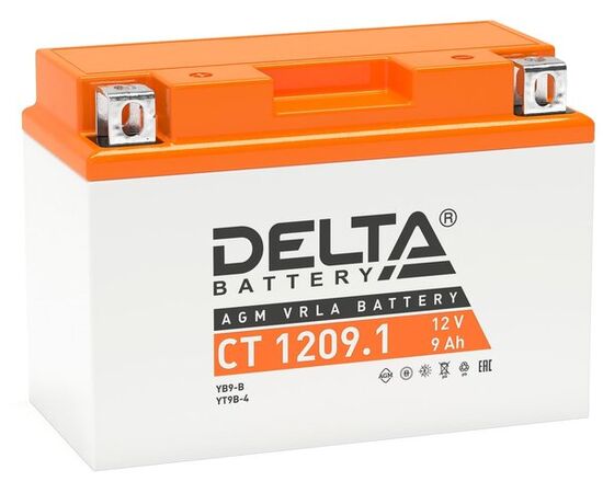  Аккумуляторная батарея Delta CT 1209 