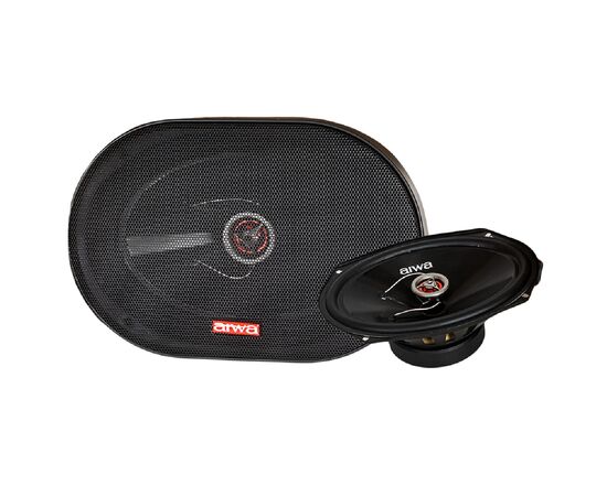  Акустическая система AIWA ASM-6920 