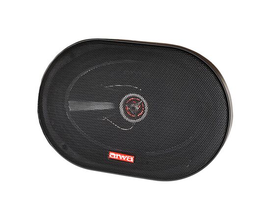  Акустическая система AIWA ASM-6920 